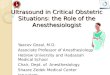 Ultrasound in Critical Obstetric Situations: the Role of the Anesthesiologist Yaacov Gozal, M.D. Associate Professor of Anesthesiology Hebrew University