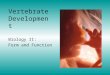 Vertebrate Development Biology II: Form and Function