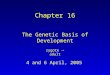 4 and 6 April, 2005 Chapter 16 The Genetic Basis of Development zygote  adult