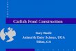 Catfish Pond Construction Gary Burtle Animal & Dairy Science, UGA Tifton, GA