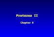 Protozoa II Chapter 8. Outline Protection Feeding strategies Reproduction –Sexual –Asexual Life cycle