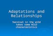 Adaptations and Relationships Survival in the wild takes some WILD characteristics