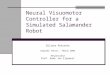 Neural Visuomotor Controller for a Simulated Salamander Robot Biljana Petreska Diploma Thesis – March 2004 Responsible Prof. Auke Jan Ijspeert