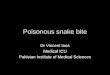 Poisonous snake bite Dr Vincent Ioos Medical ICU Pakistan Institute of Medical Sciences