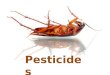 Pesticides. What are Pesticides? Pesticide: Any substance used for the purpose of destroying or controlling pests. Used in agriculture to protect crop