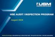 HSE AUDIT / INSPECTION PROGRAM August 2009. TMD-8303-SA-0054 Rev. 0, Aug 09 2 Purpose  All USM self-perform workplaces will have a HSE audit / inspection
