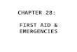 CHAPTER 28: FIRST AID & EMERGENCIES. RESPONDING TO AN EMERGENCY 1.CHECK Check the scene Spilled chemicals Traffic Fire Escaping steam Downed power lines