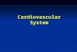 Cardiovascular System. Functional Organization of Cardiovascular system CARDIOVASCULAR SYSTEM HEART (PUMP) VESSELS (DISTRIBUTION SYSTEM) Blood