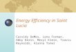 Energy Efficiency in Saint Lucia Cassidy DeMos, Lena Forman, Abby Kerin, Meryl Klein, Travis Reynolds, Alanna Toner