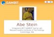 Abe Stein Singapore-MIT GAMBIT Game Lab Massachusetts Institute of Technology Cambridge, MA
