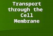Transport through the Cell Membrane. Review of the Types of Membranes: 1. Permeable 2. Impermeable 3. Semi-permeable