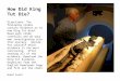 How Did King Tut Die? Directions: The following slides contain evidence as to how King Tut died. Read each slide carefully and do your own investigating
