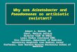 Why are Acinetobacter and Pseudomonas so antibiotic resistant? Robert A. Bonomo, MD Chief, Medical Service Director VISN 10 GRECC Louis Stokes Cleveland