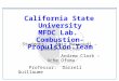 California State University MFDC Lab. Combustion- Propulsion Team Students: Amir Massoudi – Justin Rencher Andrew Clark – Uche Ofoma Professor: Darrell