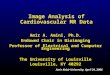 Image Analysis of Cardiovascular MR Data Amir A. Amini, Ph.D. Endowed Chair in Bioimaging Professor of Electrical and Computer Engineering The University