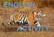 Save Tigers Many years and decades have passed and we are not taking action against this problem of the ‘Endangered Species of Tigers of India’