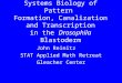 Systems Biology of Pattern Formation, Canalization and Transcription in the Drosophila Blastoderm John Reinitz STAT Applied Math Retreat Gleacher Center