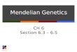 Mendelian Genetics CH 6 Section 6.3 – 6.5. Slide 2 of 26