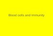 Blood cells and Immunity. Lymphocytes 