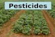 Pesticides. Pests Any organism that: 1.competes with us for food 2.Invades lawns and gardens 3.Destroys wood in houses 4.Spreads disease 5.A nuisance