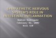 Nadine Rodriguez February 02, 2009 Biol 520. Automatic regulation system Branch of the Autonomic nervous system 2 sets of nerve bodies Preganglionic in