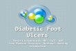 Diabetic Foot Ulcers Sonja Lichtenstein, MD, FACS, UHM Zone Medical Director, National Healing Corporation