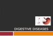 DIGESTIVE DISEASES. Main Characteristics  The digestive system is composed of: