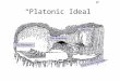 “Platonic Ideal”. Scala Naturae: Great Chain of Being