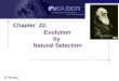 AP Biology Chapter 22. Evolution by Natural Selection
