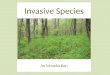 Invasive Species An introduction. What is a native species? Native species are those that normally live and thrive in a particular community. They occupy