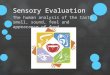 Sensory Evaluation The human analysis of the taste, smell, sound, feel and appearance of food