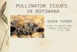 POLLINATOR ISSUES IN BOTSWANA QUEEN TURNER GLOBAL POLLINATOR SUMMIT DURBAN, SOUTH AFRICA 1 - 4 JULY 2008