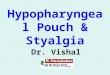 Hypopharyngeal Pouch & Styalgia Dr. Vishal Sharma