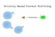 Activity-Based Protein Profiling. Contents Introduction -Assignment of Protein Function In the Postgenomic Era -Detection Strategies for Activity-Based