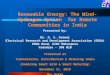 Renewable Energy: The Wind-Hydrogen Option for Remote Communities in India Presented by: Dr. G. S. Grewal Electrical Research and Development Association