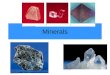 Minerals. Humans cannot survive without minerals 16 minerals needed for humans to survive.03% of what we eat but we would not survive without the minerals