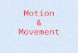 Motion & Movement. Learning Objectives Can define what a force is Can explain Newtons 3 laws of motion Understand the 3 types of motion Can place this