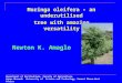 Moringa oleifera – an underutilised tree with amazing versatility Newton K. Amaglo Department of Horticulture, Faculty of Agriculture, Kwame Nkrumah University