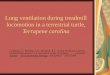 Lung ventilation during treadmill locomotion in a terrestrial turtle, Terrapene carolina Landberg, T., Mailhot, J.D., Brainerd, E.L. “Lung ventilation