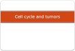 Cell cycle and tumors. Oncogenes Oncogene is a gene that encodes a protein which hyperactivity is one step to cancer A proto-oncogene is a normal gene