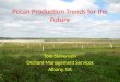 Pecan Production Trends for the Future Tom Stevenson Orchard Management Services Albany, GA