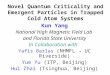 Novel Quantum Criticality and Emergent Particles in Trapped Cold Atom Systems Kun Yang National High Magnetic Field Lab and Florida State University In