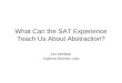 What Can the SAT Experience Teach Us About Abstraction? Ken McMillan Cadence Berkeley Labs