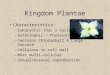 Kingdom Plantae Characteristics: –Eukaryotic (has a nucleus) –Autotrophic – Photosynthetic –Contains Chlorophyll & Large Vacuole –Cellulose in cell wall
