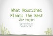 Ragland Powell, III Mrs. Henry’s Class October 10, 2012 What Nourishes Plants the Best STEM Project