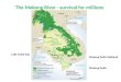 The Mekong River - survival for millions Lake Tonle Sap Mekong Delta Mekong Delta Wetland