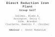 1 Direct Reduction Iron Plant Group Golf Selimos, Blake A. Arrington, Deisy C. Sink, Brandon Ciarlette, Dominic F. (Scribe) Advisor : Orest Romaniuk
