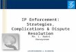 LAKSHMIKUMARAN & SRIDHARAN IP Enforcement: Strategies, Complications & Dispute Resolution Mr. L. Badri Narayanan