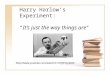 Harry Harlow’s Experiment: “It’s just the way things are” 