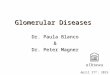 Glomerular Diseases Dr. Paula Blanco & Dr. Peter Magner April 27 th, 2015